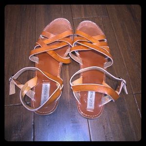 Steve Madden Sandals😍